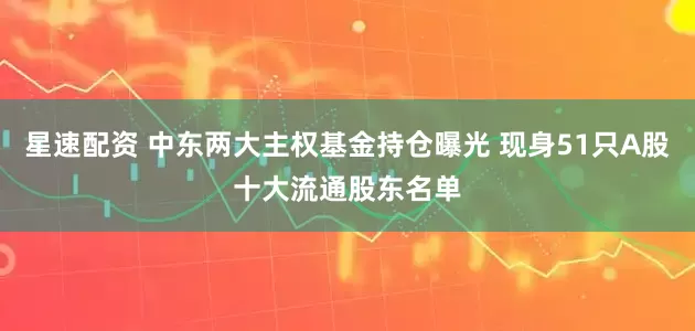 星速配资 中东两大主权基金持仓曝光 现身51只A股十大流通股东名单