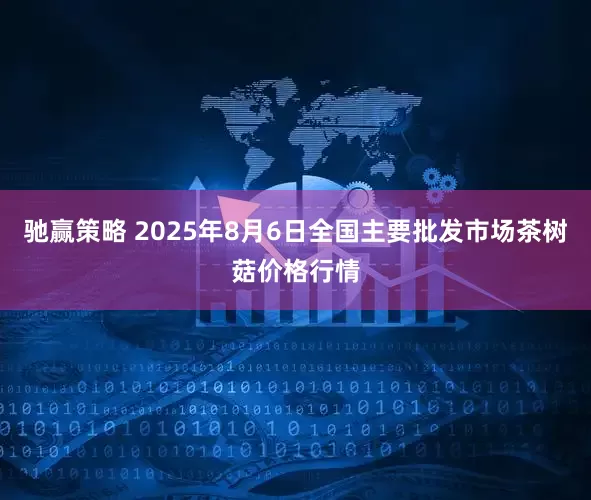 驰赢策略 2025年8月6日全国主要批发市场茶树菇价格行情