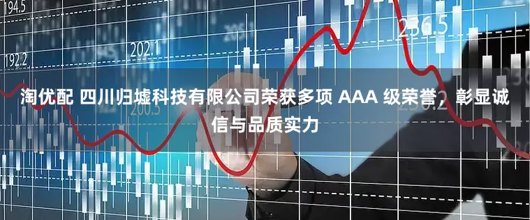 淘优配 四川归墟科技有限公司荣获多项 AAA 级荣誉，彰显诚信与品质实力